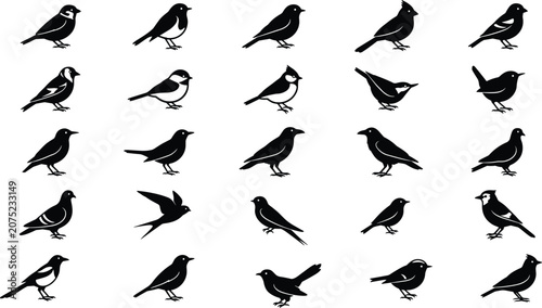 Set of small bird silhouettes in grid format featuring diverse songbirds black icons isolated white