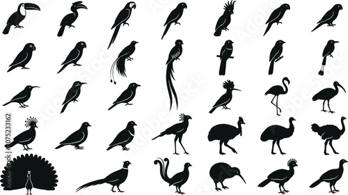 Variety of stylized bird shapes and profiles isolated on a plain background for design