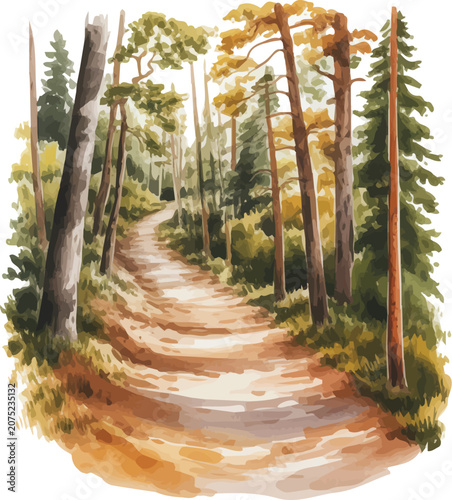 Watercolor Woodland Forest Path Illustration, Nature Landscape Trail Vector Clipart Isolated on White Background