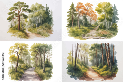 set of Watercolor Forest Trail Surrounded by Trees Vector Illustration, Woodland Nature Landscape Isolated on White Background