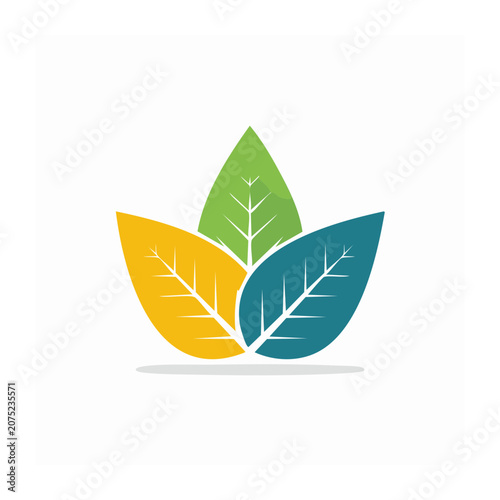 Three colorful leaves in flat design