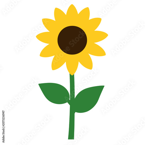 Yellow Sunflower Flat Vector Illustration