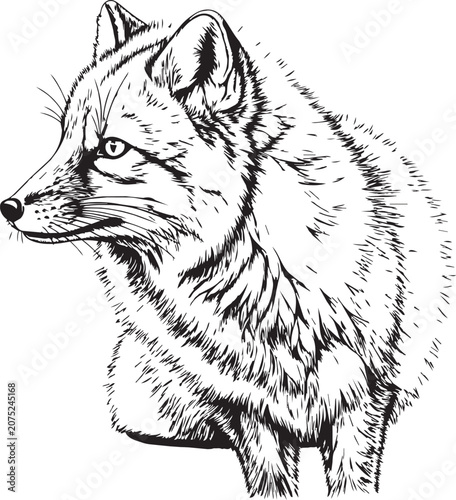 Tableau sur toile Detailed fox head profile sketch with textured fur during daylight with expressi