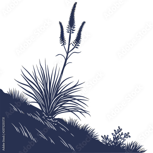 silhouette of xanthorrhoea preissi