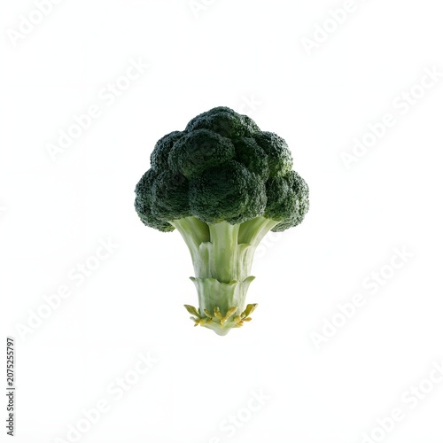 Natural fresh broccoli close up with detailed florets texture for vegetarian food and healthy lifestyle concept