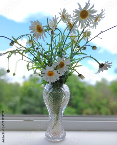 Bouquet of daisies in a glass vase on the window against the background of the sky. 