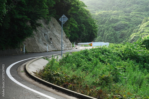 緑が美しい梅雨の山間のカーブした車道