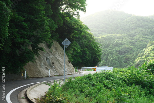 緑が美しい梅雨の山間のカーブした車道