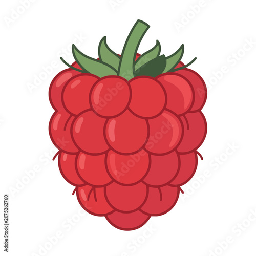 Flat vector illustration of a raspberry with leaves