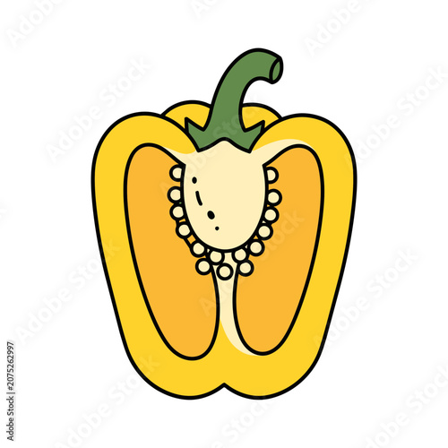 Bell Pepper Cross Section Vector Illustration