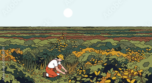 Farmer in field harvesting crops under a bright sun
