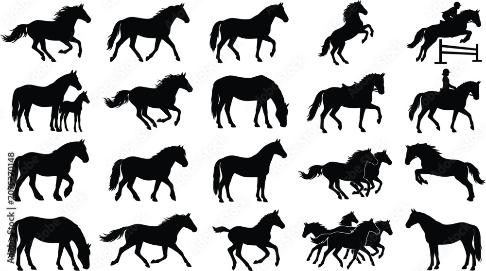 Obraz premium Horse silhouettes in various poses and movements set.