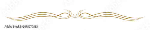 Classic elegant flourish border decoration vector set