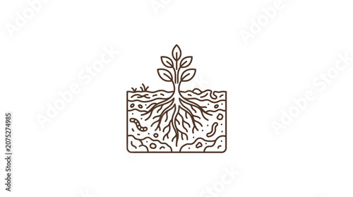 Obraz na plátně Illustration of a plant with visible roots in soil cross section.