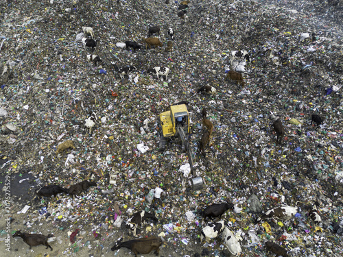Cox's Bazar, Bangladesh - 11 March 2026: Aerial view of cows scavenging among piles of plastic waste at a landfill site, with an excavator working in the center and people nearby.