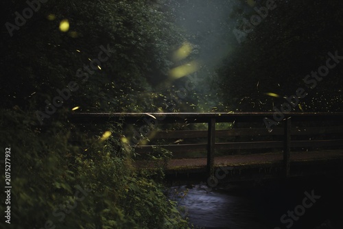 Wooden bridge glowing with fireflies in forest night