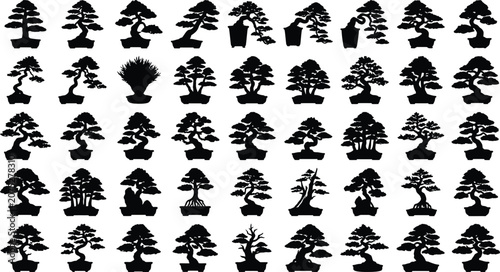 Fotografie Black silhouettes of potted trees and plants, bonsai-style, on white background