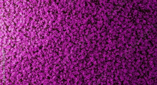 Vibrant backdrop of densely packed tiny blossoms creating a beautiful natural texture; a rich tapestry of deep pink and purple spring colors, close-up, deep, backdrop