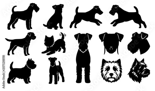 Fotografía Terrier dog breed silhouette icon set featuring black silhouettes of miniature s