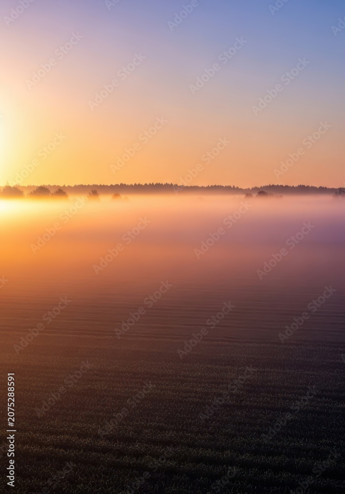 Obraz premium An expansive agricultural field covered completely in dense, swirling fog during the cool, quiet hours of the early morning light, peaceful, cold, landscape