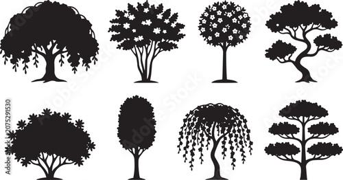 Fényképezés Trees appear as black silhouettes on white.