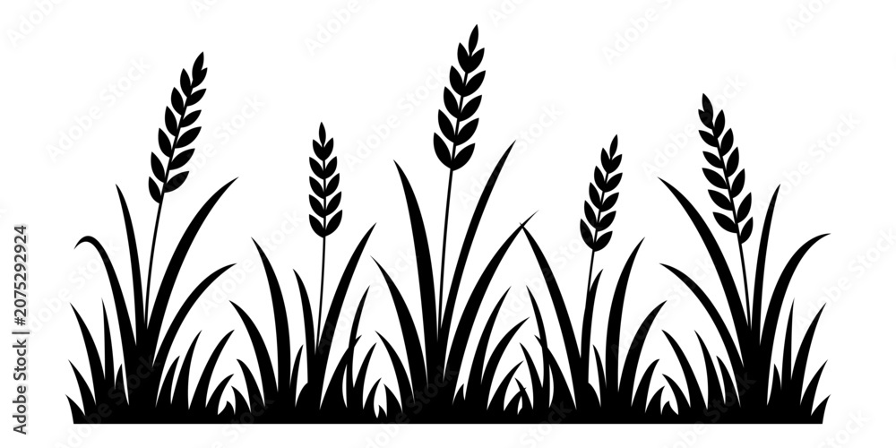 Fototapeta premium Meadow wheat grass black silhouette border with several seed heads and wild field blades, isolated botanical design. Vector illustration
