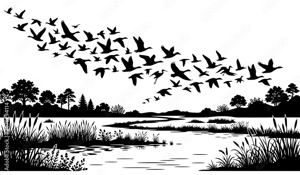 Obraz premium Flock of birds flying over wetland silhouette vector