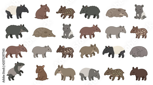 Obraz na płótnie Collection of various tapir species and their young, illustrated in a simple cartoon style