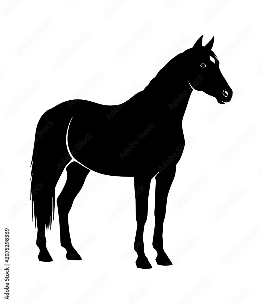 Obraz premium Black silhouette of a standing horse in profile view isolated on transparent background, Vector