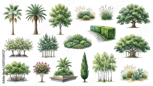 Hand Drawn Watercolor Coastal and Waterfront Planting Vector Set for Landscape Architecture