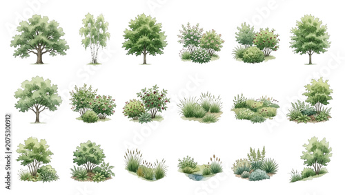 Hand Drawn Watercolor Native Landscape Plant Symbols Vector Set for Ecological Design