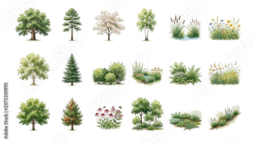Hand Drawn Watercolor Native Vegetation Symbols Vector Set for Landscape Architecture