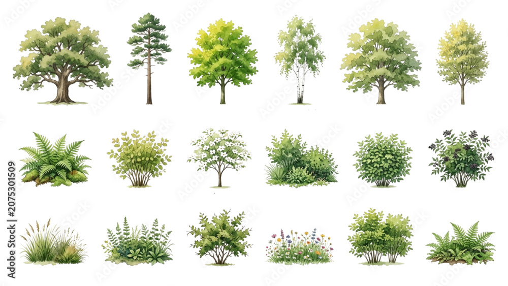 Fototapeta premium Hand Drawn Watercolor Woodland Trees and Shrubs Vector Set for Landscape Design