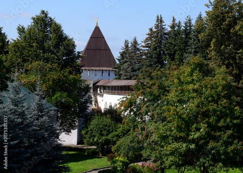 Dense thickets of trees around the fortress wall with the tower of the Spaso-Preobrazhensky Monastery in Yaroslavl