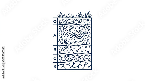 фотографія Soil profile diagram showing layers and earthworms.
