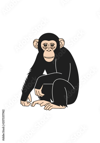 Chimpanzee sitting in a simple flat illustration style
