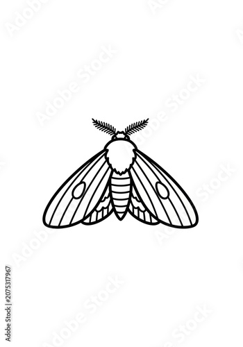 Black line art moth illustration on white background