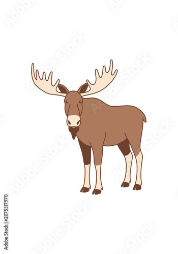 Brown moose with large antlers on white background
