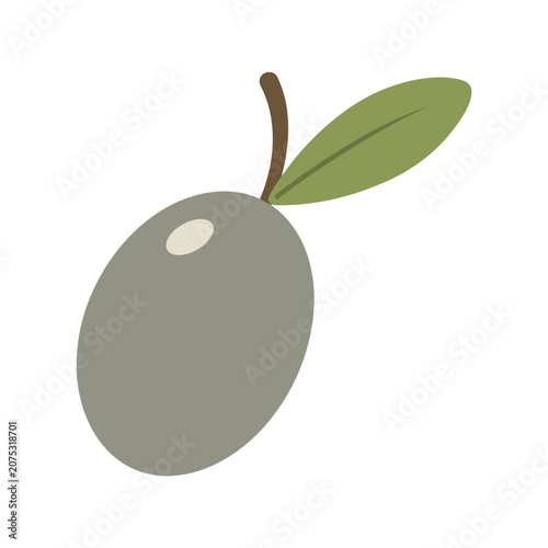 Gray olive with green leaf on stem vector illustration