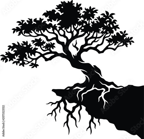 Black silhouette of a tree growing on a cliff