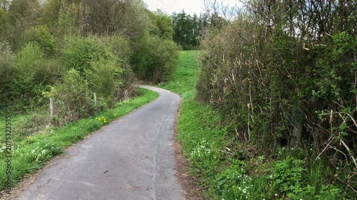 Forest landscape with idyllic winding road or hiking trail footpath and deciduous trees with green lush foliage and wooden fence poles in Westerwald in Germany Europe