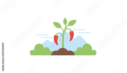 Vibrant red chili pepper plant growing in brown soil with mountain silhouettes in the background symbolizing fresh farm produce and nature.