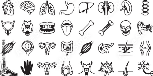 Mega Vector Icon Bundle: UI, Medical, Science, Food & Eco Symbols