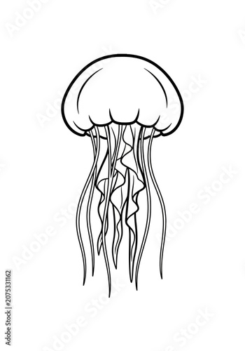 Black and white outline jellyfish illustration