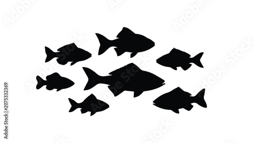 Silhouette of a School of Fish Swimming Together in Water.