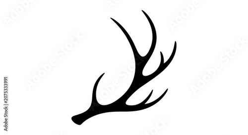 Single Deer Antler Silhouette on Isolated White Background