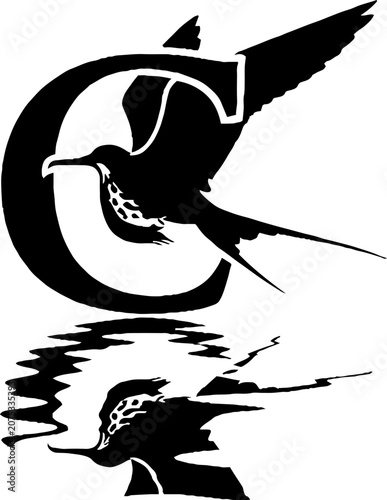 Silhouette of bird flying above its reflection.