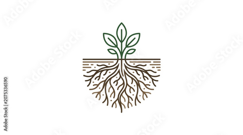Green plant with visible roots growing from soil line illustration.