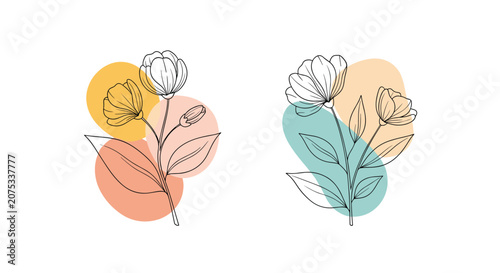 Minimalist botanical line art features two flower stems set against soft abstract colorful shapes for modern interior wall decor.