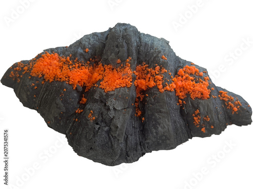 A darkly sculpted croissant, dusted with vibrant orange spice, presents a striking contrast and culinary artistry.